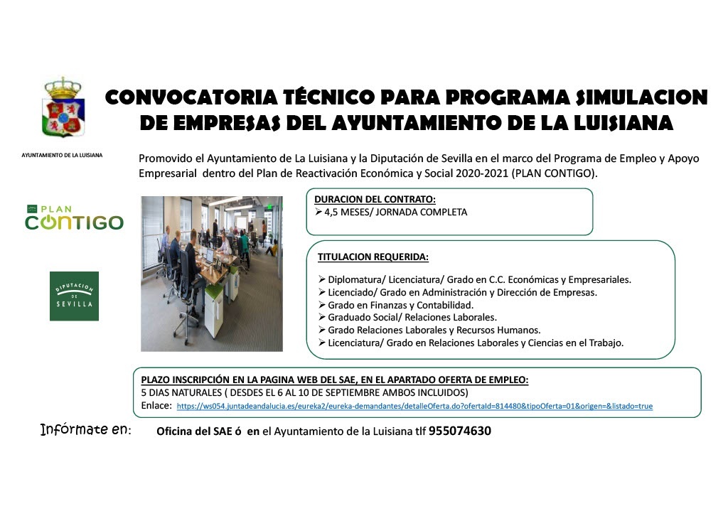 Cartel TECNICO SIMULACION DE EMPRESAS1024_1