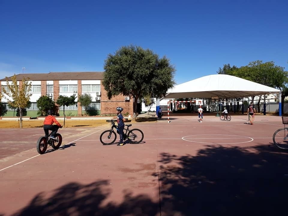 Escuelas deportivas 1